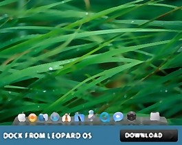 玻璃架從Leopard操作系統在PS圖象處理軟件碼頭
