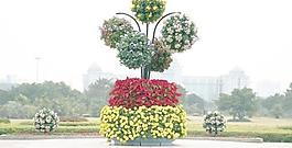 花卉擺放圖集