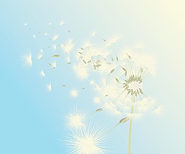 一個(gè)抽象的背景與花