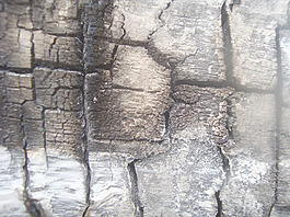 burnt_wood_texture