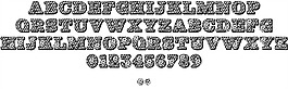 冬青结字体