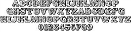 霍莉：字体