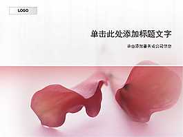 紅色花瓣ppt模板