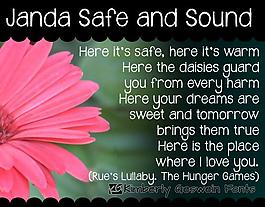 Janda安然無恙的字體