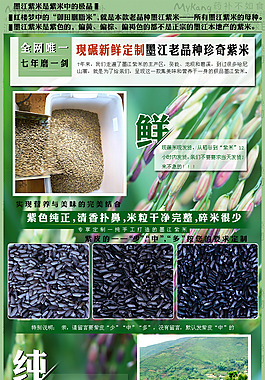 云南墨江紫米老品種淘寶詳情頁