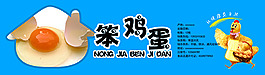 標(biāo)簽