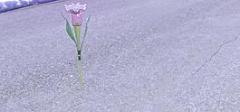 花卉草坪燈