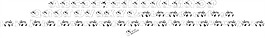 公斤纽约字体