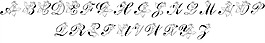 LMS玫瑰字體