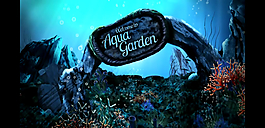 海洋AE模板源文件