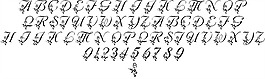 LMS周年晚宴的字体