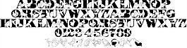 LMS觀鳥字體