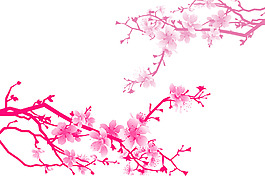 漂亮的梅花