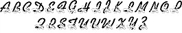 LMS舞蹈鞋字體
