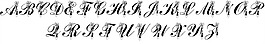 LMS的鞋子的字體
