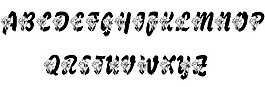 LMS郁金香字體