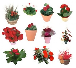 12植物盆景PSD
