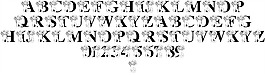 LMS raggity安迪字母的字体