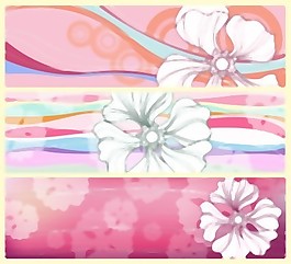 花旗