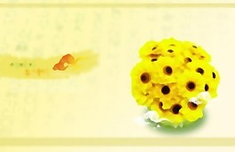花朵背景PSD分層15