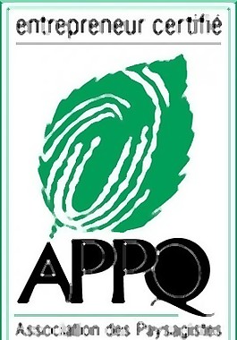 appq標(biāo)志