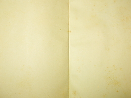 本書的內(nèi)部47個紋理