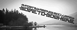节点没有字体