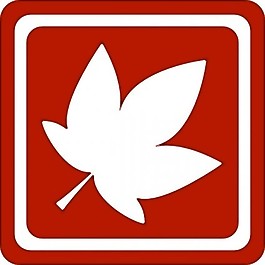 秋天，秋天的剪辑艺术