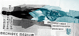 Orchidee的字體