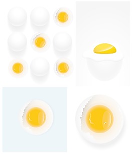 雞蛋矢量插圖