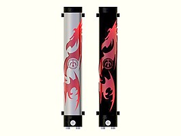 龍的風(fēng)格