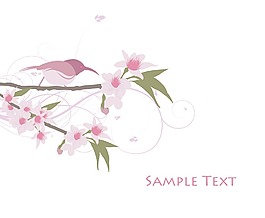 摘要說(shuō)明有許多美麗的花
