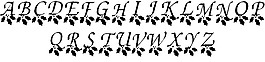 圣誕帽，字體