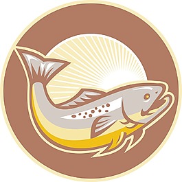 鱒魚跳躍的陽光圈
