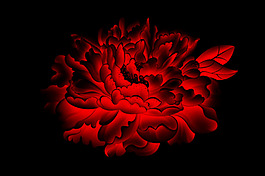 紅色的牡丹花