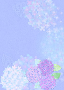 蒲公英