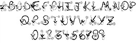 向日葵的字體