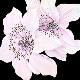 油畫花朵圖