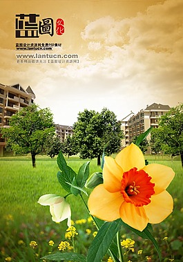 房地产广告