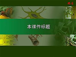 生命科學課件PPT