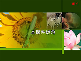 生物教學科技PPT