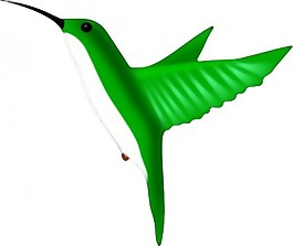 蜂鳥(niǎo)的剪輯藝術(shù)