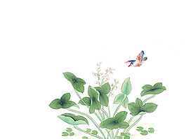 黃鸝荷葉