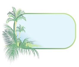 夏天illustrattion