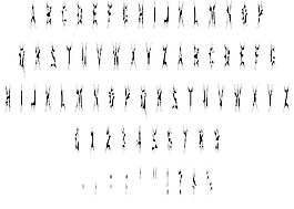 sidthespider字體