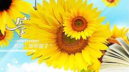 向日葵背景教師節(jié)PPT模板