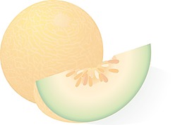瓜熟向量