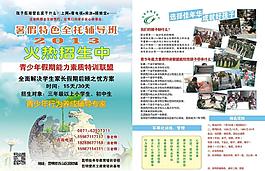 佳年華培訓(xùn)機(jī)構(gòu)宣傳單