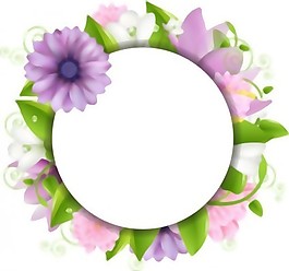 花边境02矢量