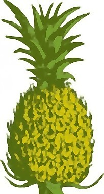菠萝剪贴画
